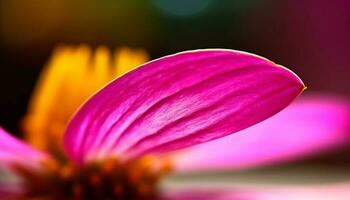 beschwingt Gerbera Gänseblümchen Blüten im formal Garten, selektiv Fokus generiert durch ai foto