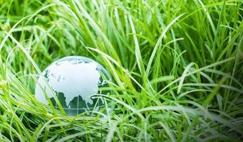 Tag der Erde Konzept des Globus auf grünem Gras mit Kopierraum