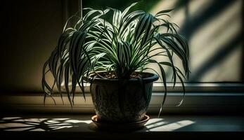 frisch Grün Pflanze im Vase in der Nähe von Fenster ,generativ ai foto