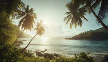 tropisch Sonnenuntergang, Palme Bäume, Wellen, idyllisch Schönheit generiert durch ai foto
