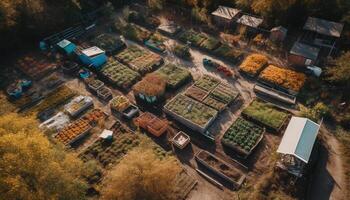Drohne erfasst reichlich organisch Ernte im ländlich Herbst Landschaft generiert durch ai foto
