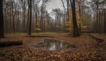 das beschwingt Herbst Wald, ein still Schönheit im Natur Landschaft generiert durch ai foto