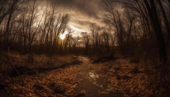 das still Sonnenuntergang Über das Wald, ein Schönheit im Natur generiert durch ai foto