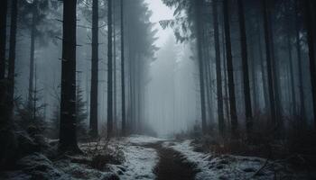ein gespenstisch Wald im Winter, ein Geheimnis im Natur Schönheit generiert durch ai foto