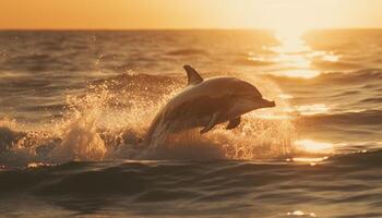 ein spielerisch Delfin Sprünge, Sprühen Wasser im das zurück zündete Sonnenuntergang generiert durch ai foto