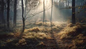 ein nebelig Herbst Morgen, das Geheimnis von Natur Schönheit generiert durch ai foto