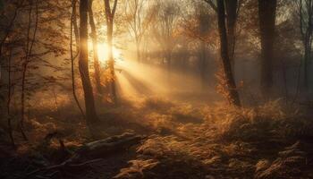 das Herbst Wald leuchtet mit beschwingt orange, ein feurig Geheimnis generiert durch ai foto