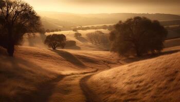 still Sonnenuntergang Über ländlich Landschaft, ein heiter Schönheit im Natur generiert durch ai foto