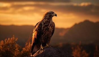 majestätisch Vogel von Beute sich niederlassen auf Berg Gipfel beim Sonnenuntergang generiert durch ai foto