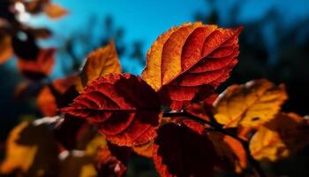 beschwingt Herbst Laub im defokussiert Wald Hintergrund, schließen oben auf Ahorn generiert durch ai foto