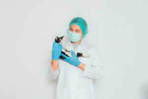 ein männlich Tierarzt trägt ein Kattun Katze zum Diagnose. foto