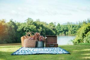 picknickset im park in der nähe des flusses, getrocknete blumen, körbe, weinflasche, buch und retro-schallplatte. Sommer-, Frühlings- und Urlaubskonzept foto