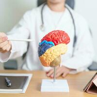Arzt mit Mensch Gehirn Anatomie Modell- und Tablette. Welt Gehirn Tumor Tag, Gehirn Schlaganfall, Demenz, Alzheimer, Parkinson und Welt mental Gesundheit Konzept foto