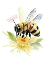 Biene auf ein Blume auf ein Weiß Hintergrund Aquarell Grafik foto