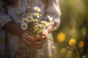 wenig Mädchen halten ein Strauß von Gänseblümchen im das Feld, Mittelteil von ein süß wenig Mädchen ohne Gesicht halten Blumen, ai generiert foto