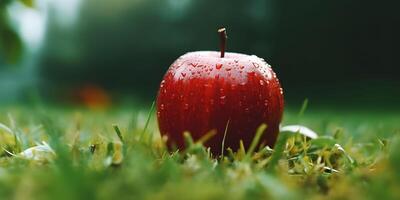 frisch rot Apfel auf Grün Gras. generativ ai foto