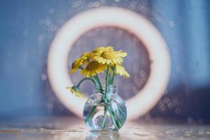gelbe Gänseblümchen in einer Glasvase foto