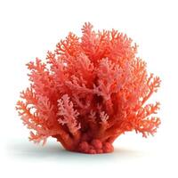 Koralle Riff isoliert. Illustration ai generativ foto