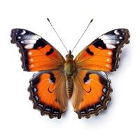 tropisch Schmetterling isoliert. Illustration ai generativ foto