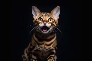 süß Bengalen Katze Sitzung auf schwarz Hintergrund und suchen beim Kamera. generativ ai foto