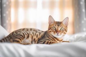 schön Bengalen Katze Lügen auf Bett und suchen beim Kamera. generativ ai foto