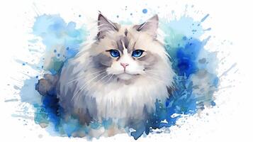 Ragdoll Katze auf ein Weiß Hintergrund mit Blau Aquarell Spritzer. generativ ai foto