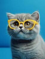 Porträt von ein britisch Katze mit Gelb Brille auf Blau Hintergrund. generativ ai foto