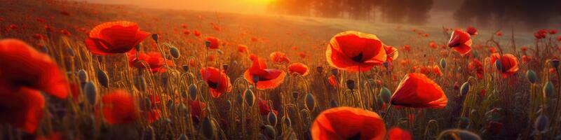 Feld von rot Mohnblumen im das Sonnenuntergang Licht. ai generativ foto