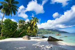 schön Weiß sandig Strand, mit Palme, Felsen Felsbrocken und Weiß Sand, Stute Englisch Strand, mahe Seychellen 1 foto