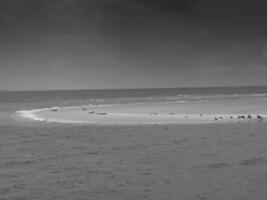 Insel Borkum in Deutschland foto