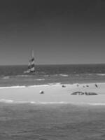 Insel Borkum in Deutschland foto