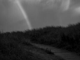 insel spiekeroog in der nordsee foto