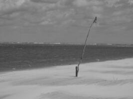 insel spiekeroog in der nordsee foto