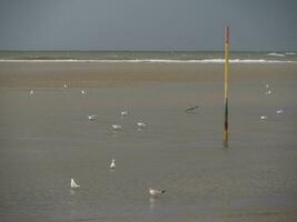 die Insel Spiekeroog foto