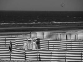 de haan beim das Norden Meer im Belgien foto