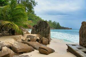 schön Felsen Felsbrocken und Weiß sandig Strand von Absicht, mahe Seychellen foto