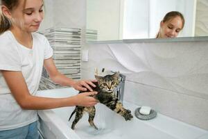 ein Mädchen badet ein Katze im das Waschbecken. foto