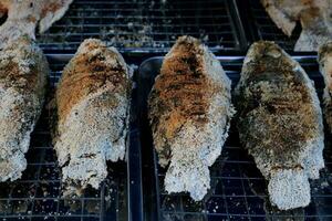 ganze Klettern Barsch oder Anabas Fisch Umschlag durch Salz- sind Grillen auf Gitter und Holzkohle Herd foto