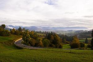 Straße durch eine Waldlandschaft foto