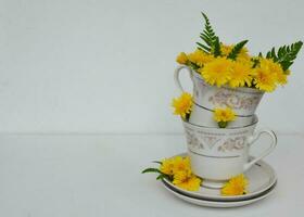 Gelb Blumen im das Tasse von Tee zum Sommer- Stimmung und zum Hintergrund foto