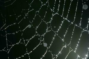 Spinnweben mit Tropfen nach das Morgen Regen. foto