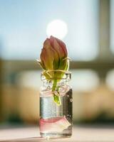 ein Flasche von kosmetisch Gel mit Rose Blume. foto