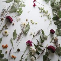 Blume Natur Frühling Weiß isoliert Hintergrund Blatt Blumen- Attrappe, Lehrmodell, Simulation legen Sommer. generativ ai. foto