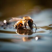 Natur Nahansicht Gelb Tier Gold Biene Insekt Honig Hintergrund Makro Pollen. generativ ai. foto