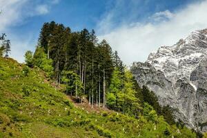 Berg Landschaft mit majestätisch Spitzen, üppig Grün. Natur Fotografie. szenisch, draußen, Abenteuer, reisen, wandern, Wildnis, Erkundung. Alpen, Tyrol und Österreich. foto