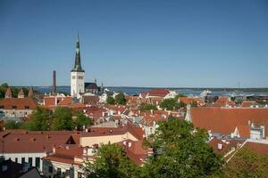 schön Aussicht Über das Stadt von Tallinn mit Kirche Turm foto