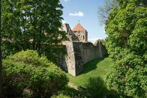 Aussicht von das mittelalterlich cesis Schloss im Lettland foto