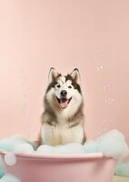 süß Alaska malamute Hund im ein klein Badewanne mit Seife Schaum und Blasen, süß Pastell- Farben, generativ ai. foto