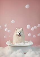 süß amerikanisch Eskimo Hund im ein klein Badewanne mit Seife Schaum und Blasen, süß Pastell- Farben, generativ ai. foto