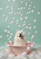 süß samoyed Hund im ein klein Badewanne mit Seife Schaum und Blasen, süß Pastell- Farben, generativ ai. foto